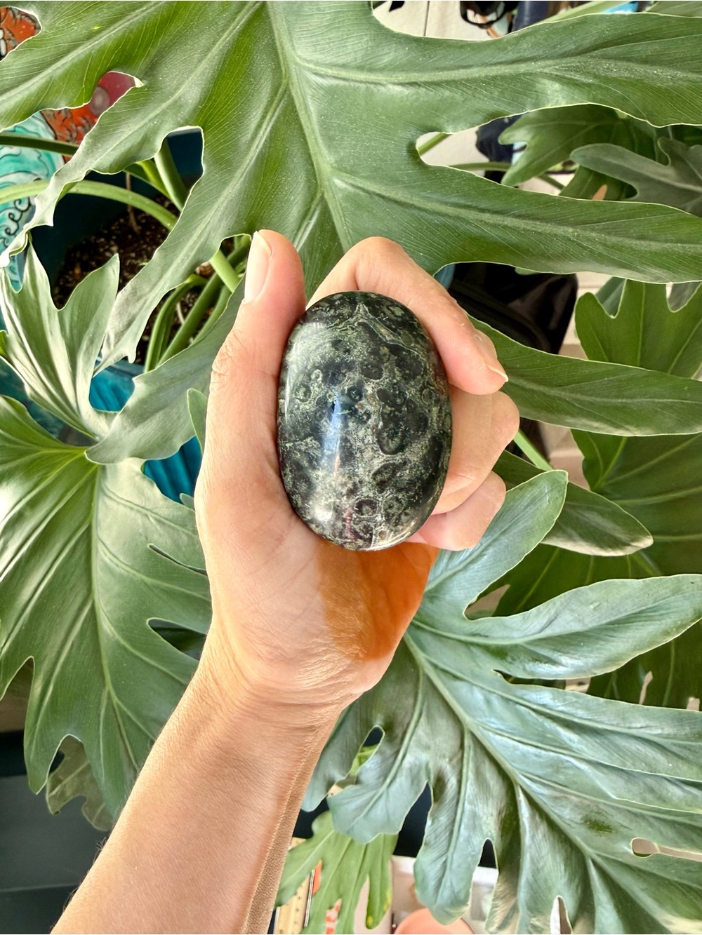 Kambaba Jasper palmstone from Madagascar